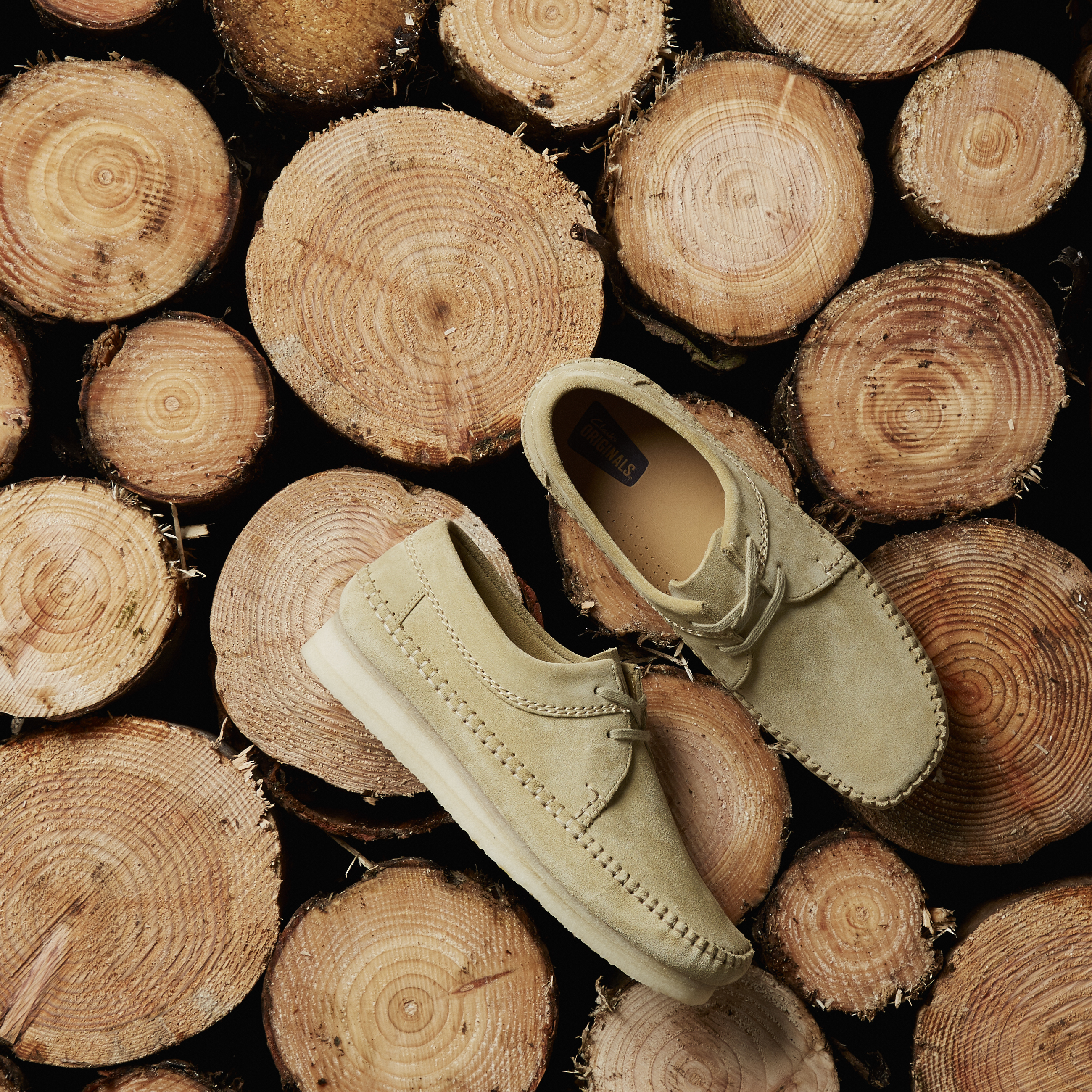 HP-42_002-christmas-gifting-flat4376