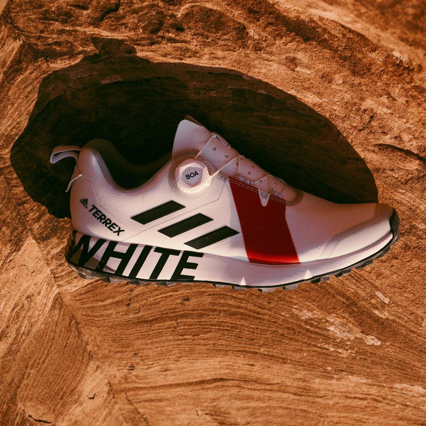 32252719_2039871636054188_254382430381670400_o