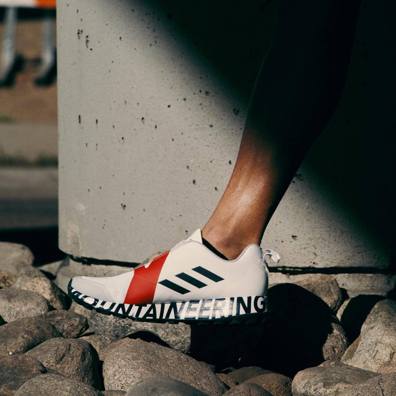 32266315_2039871752720843_3637114611334905856_o